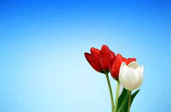 精简版流畅的网页攻击平台