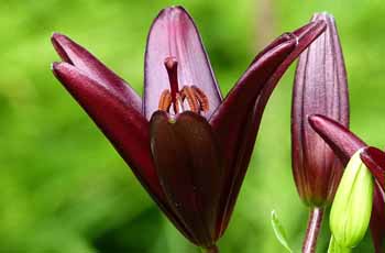 攻击网站的方法