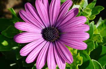 cc攻击免费网页版