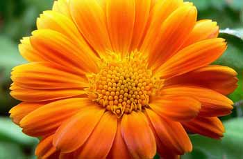 无害环保健康的网站流量攻击