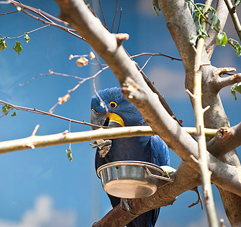 自动处理高效的DDOS网页端