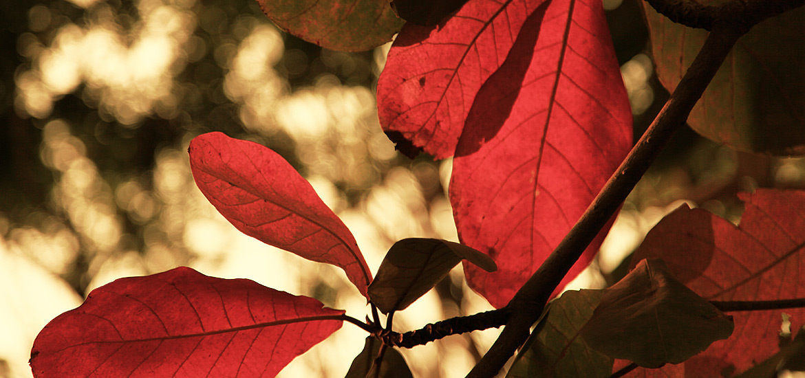 精简版流畅的网页攻击平台