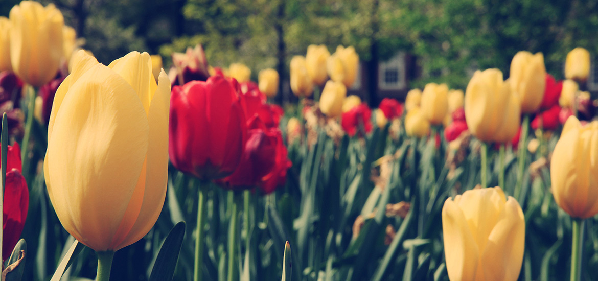 自动攻击网站工具下载